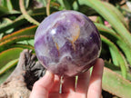 Polished Large Chevron Amethyst Sphere x 1 From Madagascar