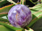 Polished Large Chevron Amethyst Sphere x 1 From Madagascar