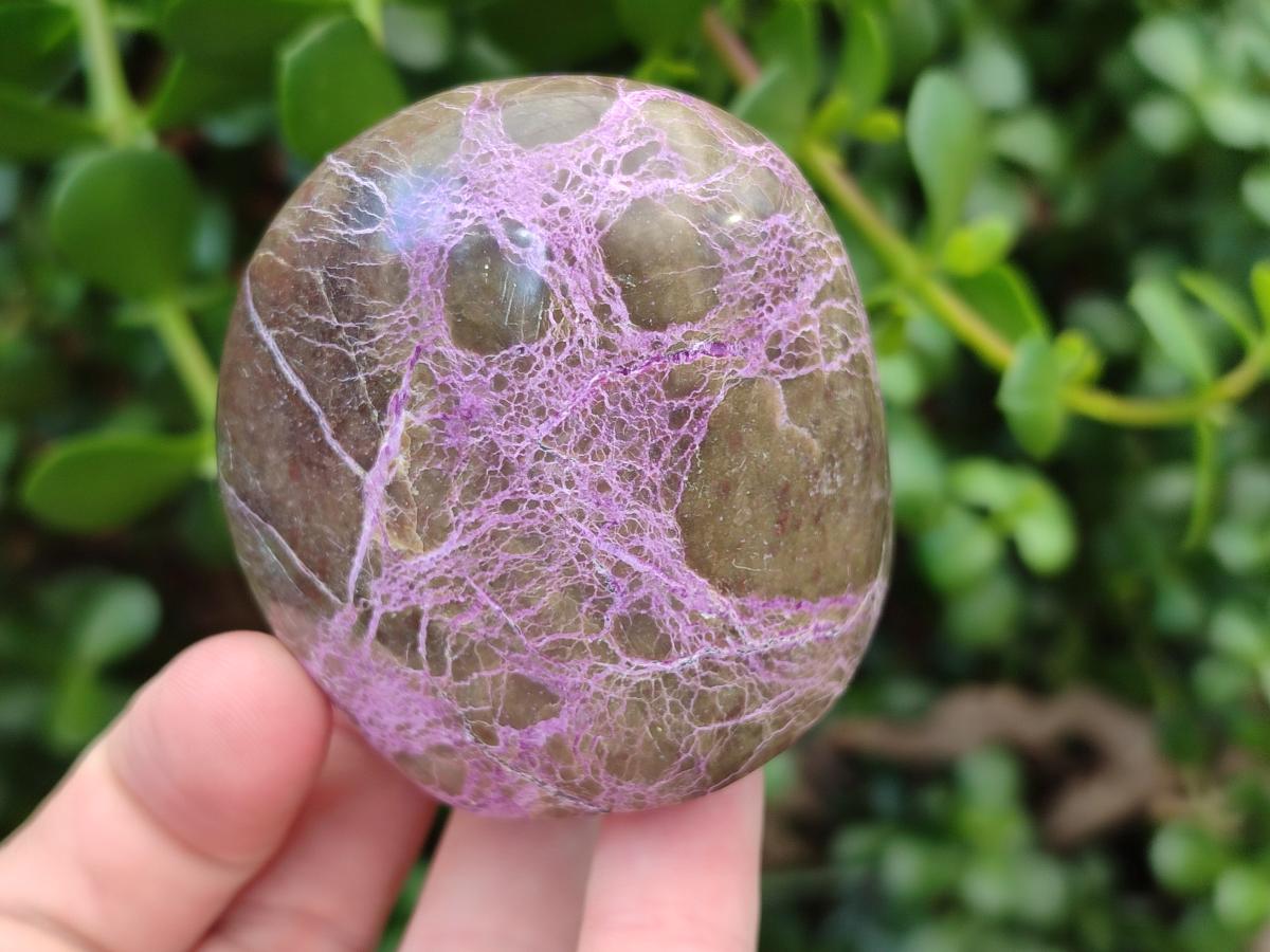 Polished Stichtite Standing Free Forms x 12 From Barberton, South Africa