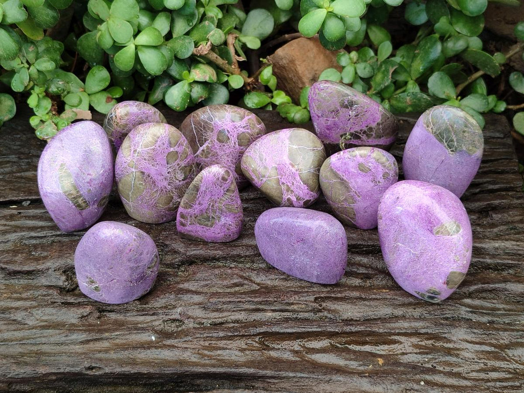 Polished Stichtite Standing Free Forms x 12 From Barberton, South Africa