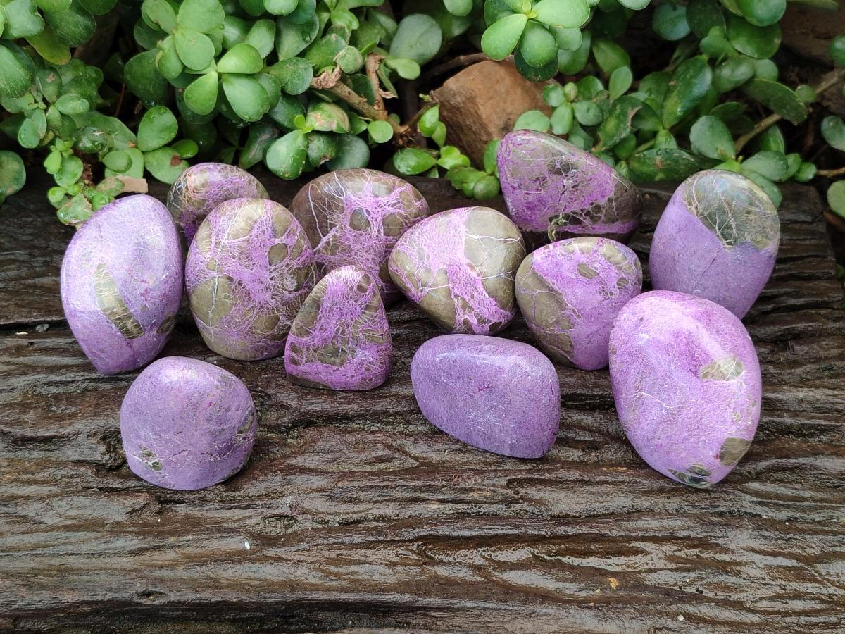 Polished Stichtite Standing Free Forms x 12 From Barberton, South Africa