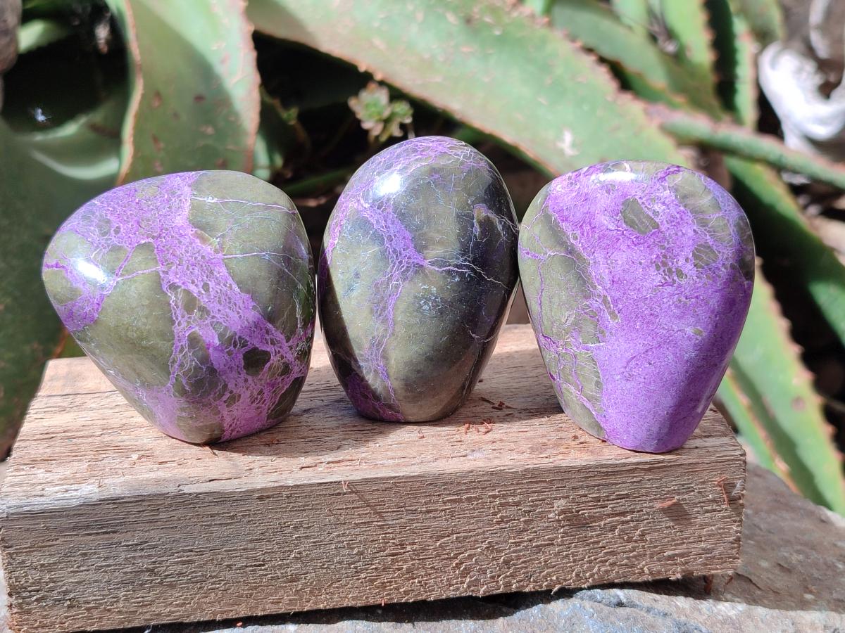 Polished Stichtite Standing Free Forms x 12 From Barberton, South Africa