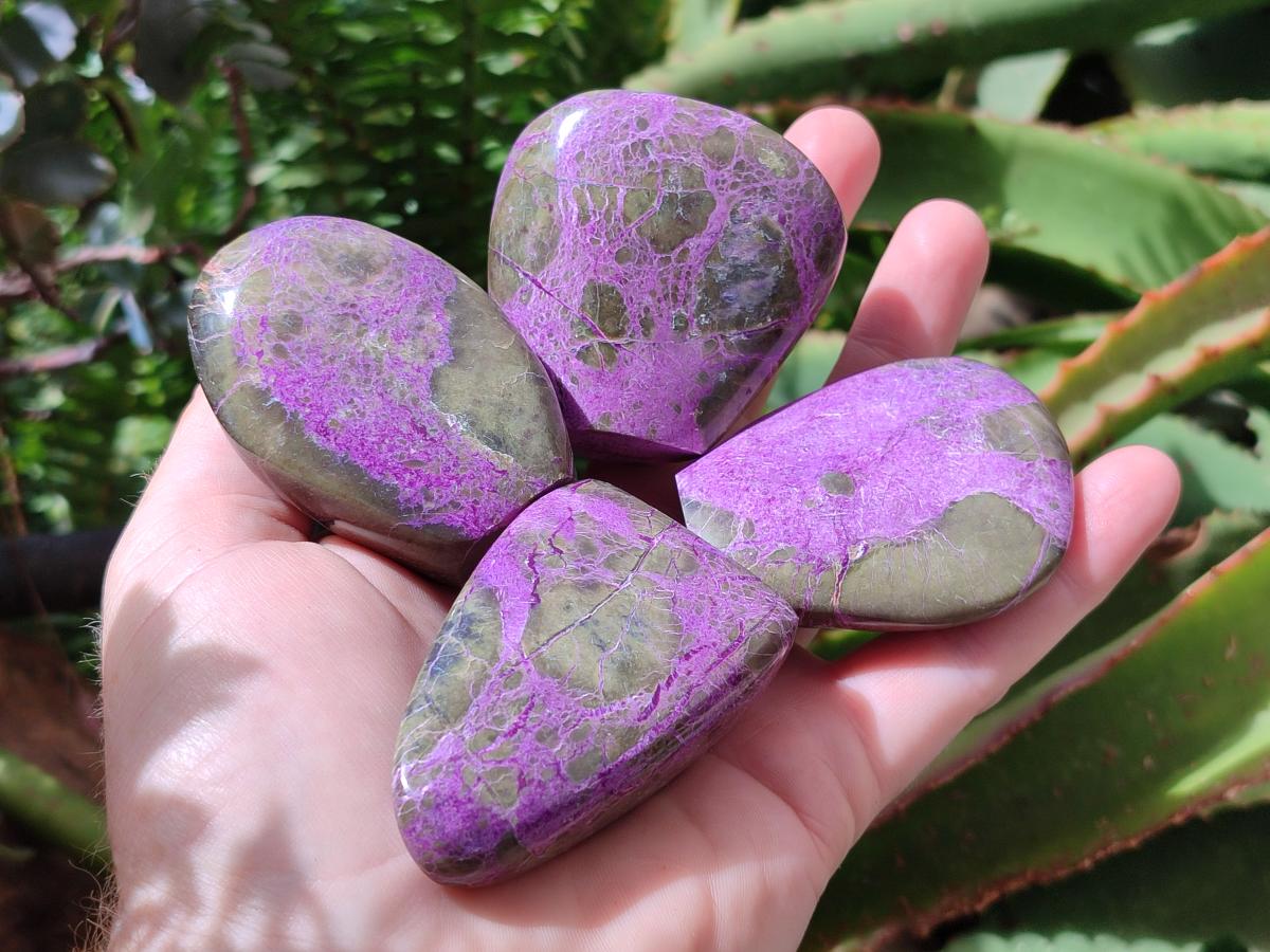 Polished Stichtite Standing Free Forms x 12 From Barberton, South Africa