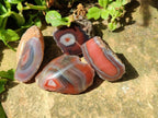 Polished One Side Red Shashe River Agate Nodules x 35 From Shashe River, Zimbabwe