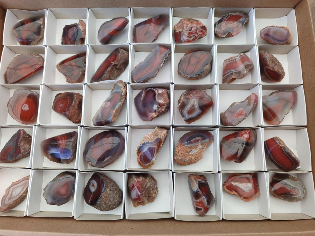 Polished One Side Red Shashe River Agate Nodules x 35 From Shashe River, Zimbabwe