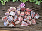 Polished One Side Red Shashe River Agate Nodules x 35 From Shashe River, Zimbabwe