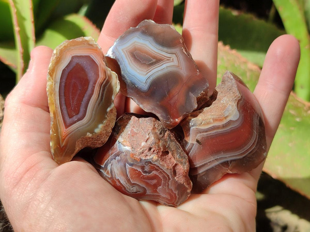 Polished One Side Red Shashe River Agate Nodules x 35 From Shashe River, Zimbabwe