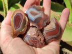 Polished One Side Red Shashe River Agate Nodules x 35 From Shashe River, Zimbabwe
