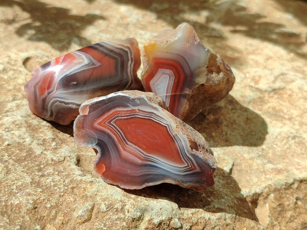 Polished One Side Red Shashe River Agate Nodules x 35 From Shashe River, Zimbabwe