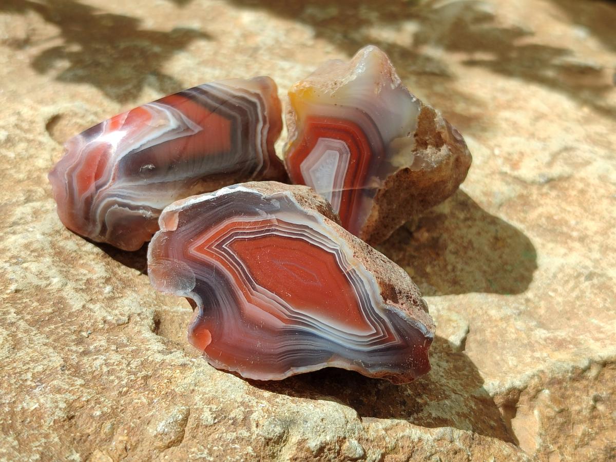 Polished One Side Red Shashe River Agate Nodules x 35 From Shashe River, Zimbabwe