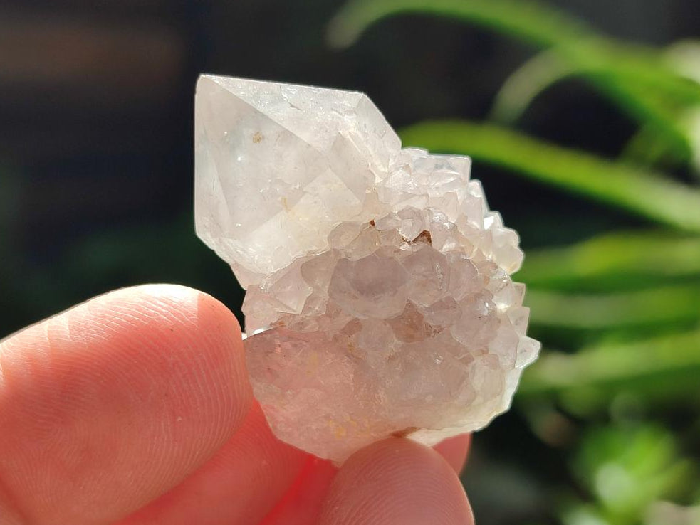 Natural Small White Spirit Quartz Crystals x 70 From Boekenhouthoek, South Africa