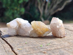 Natural Small White Spirit Quartz Crystals x 70 From Boekenhouthoek, South Africa