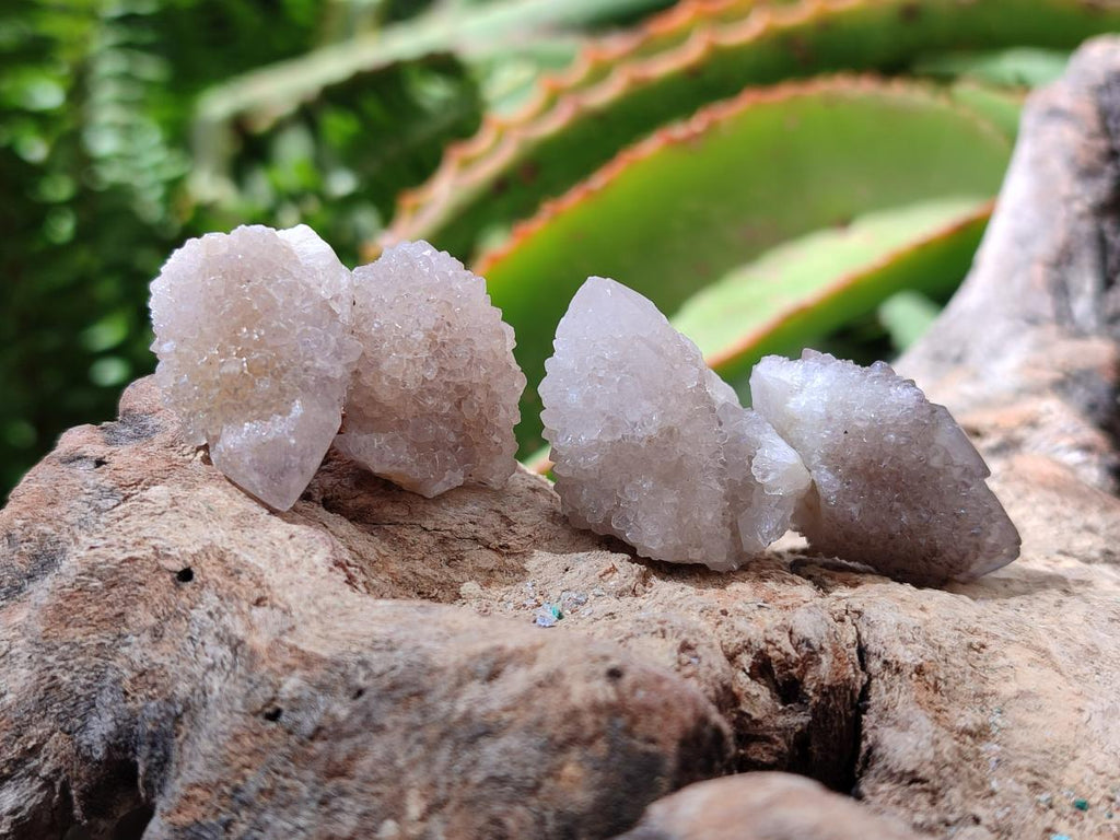 Natural Small White Spirit Quartz Crystals x 70 From Boekenhouthoek, South Africa