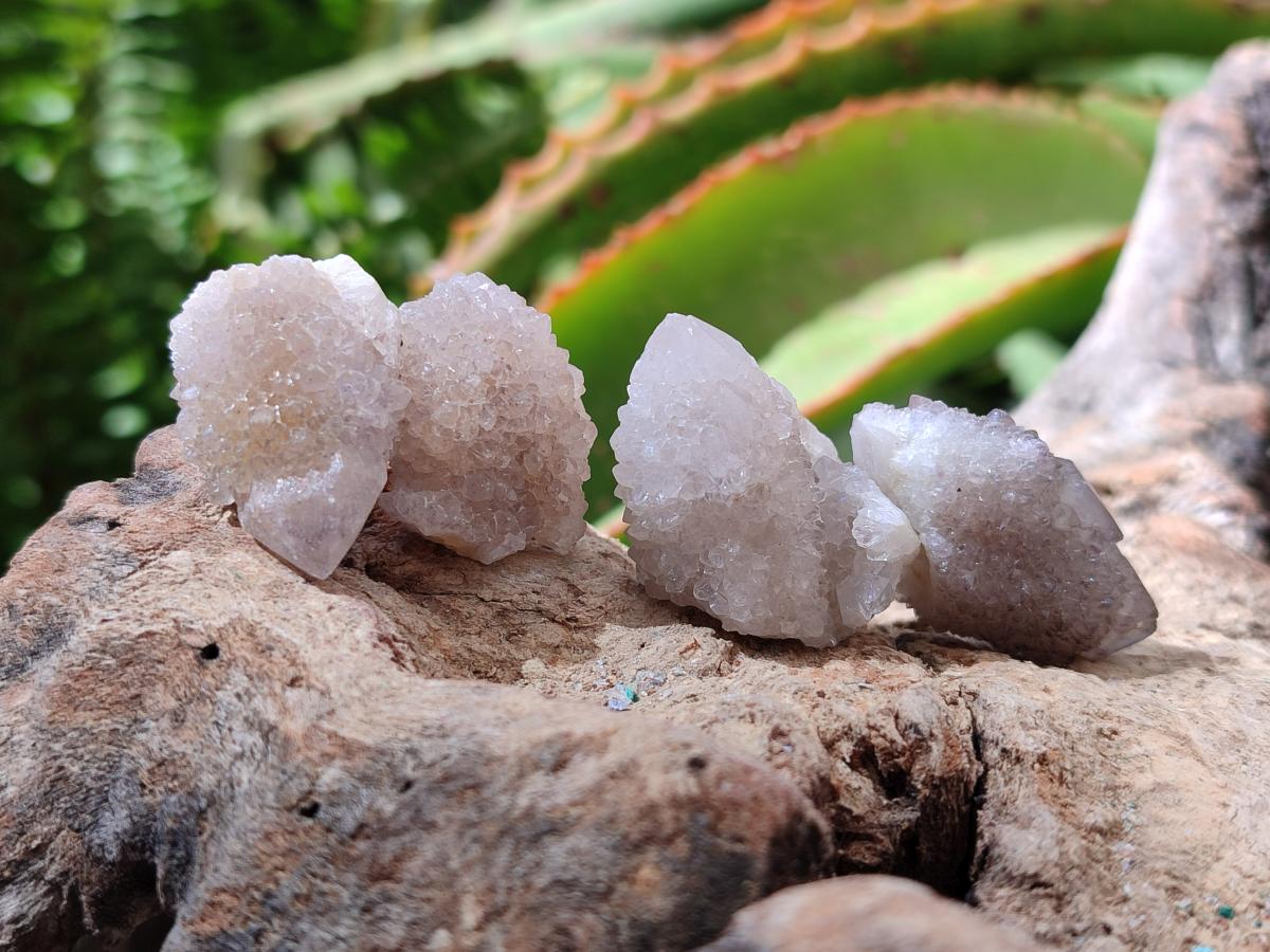 Natural Small White Spirit Quartz Crystals x 70 From Boekenhouthoek, South Africa