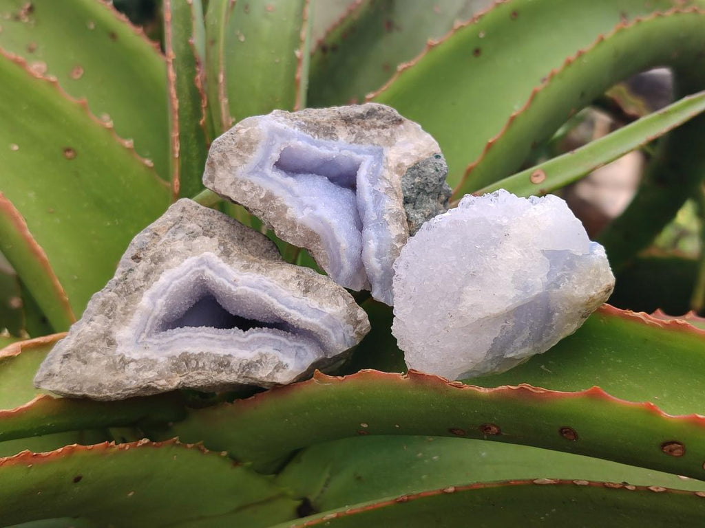 Natural Blue Lace Agate Geodes and Clusters Specimens x 24 From Nsanje, Malawi