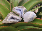 Natural Blue Lace Agate Geodes and Clusters Specimens x 24 From Nsanje, Malawi