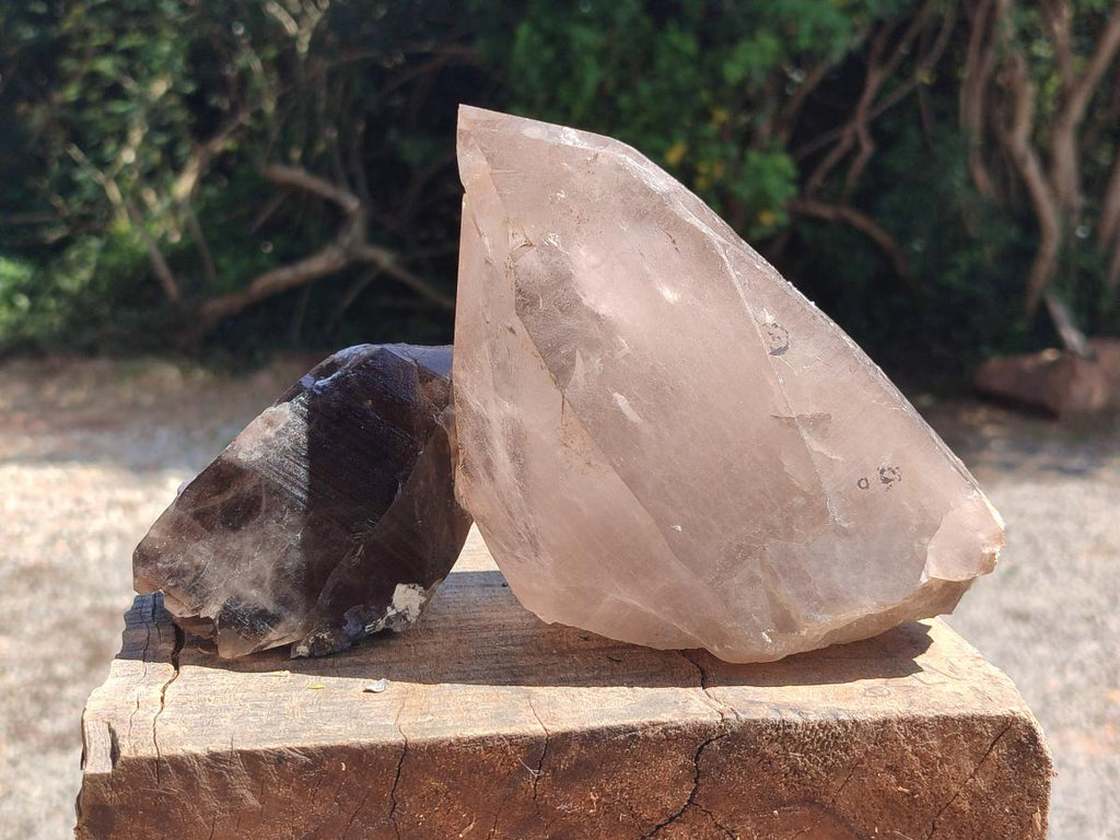 Natural Smokey Quartz Floater Crystals x 3 From Mulanje, Malawi