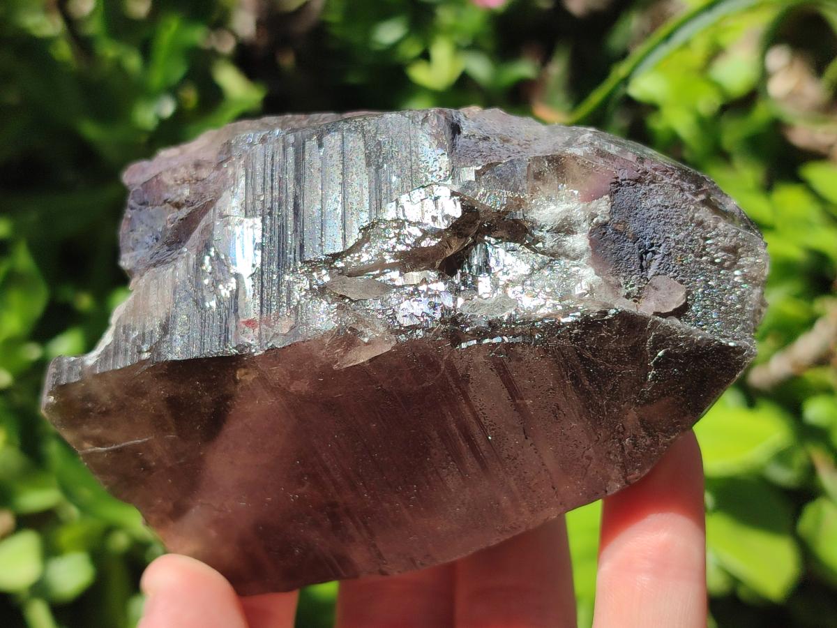 Natural Smokey Quartz Floater Crystals x 3 From Mulanje, Malawi