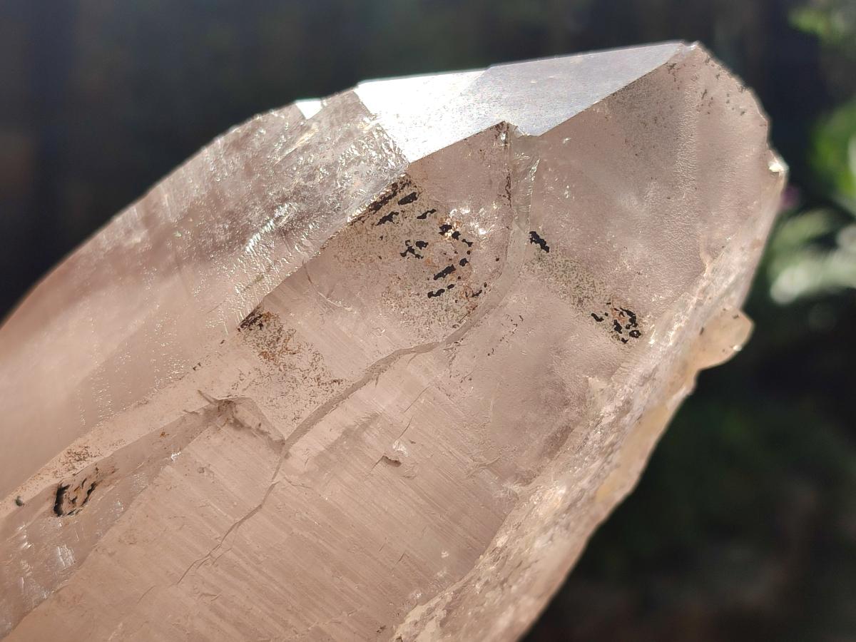 Natural Smokey Quartz Floater Crystals x 3 From Mulanje, Malawi