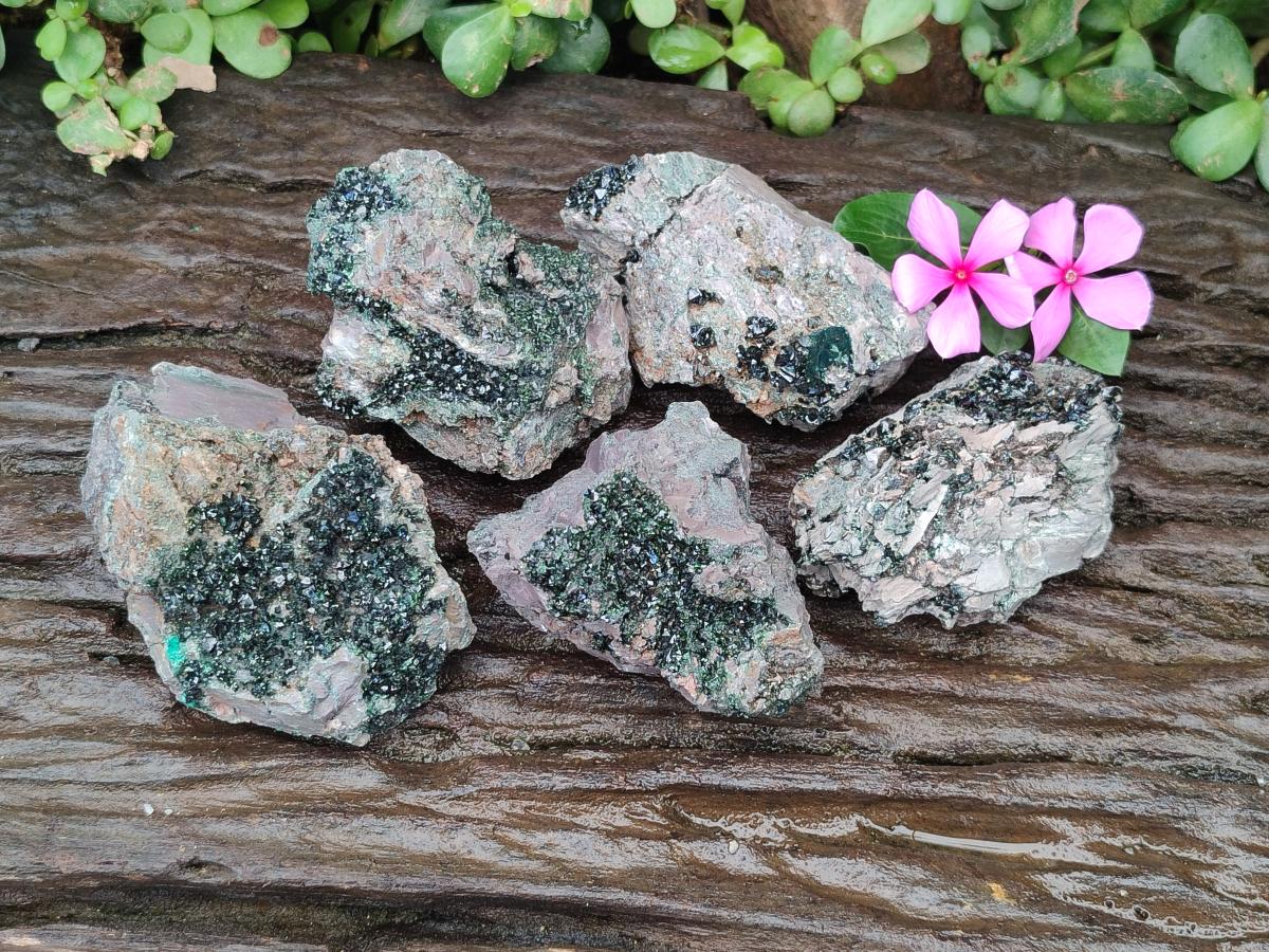 Natural Libethenite Crystals on Dolomite Matrix Specimens x 5 From Shituru, Congo