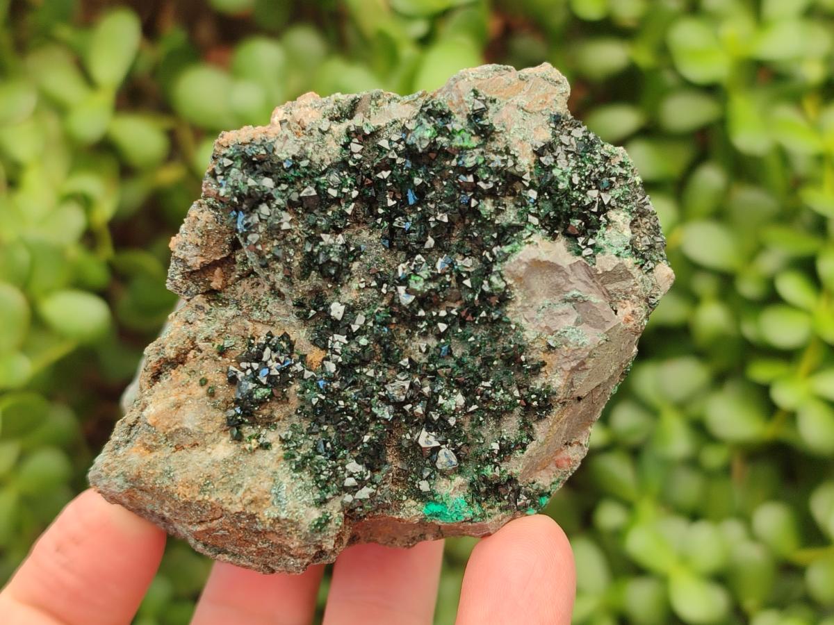 Natural Libethenite Crystals on Dolomite Matrix Specimens x 5 From Shituru, Congo