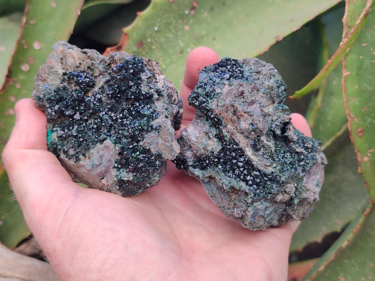 Natural Libethenite Crystals on Dolomite Matrix Specimens x 5 From Shituru, Congo