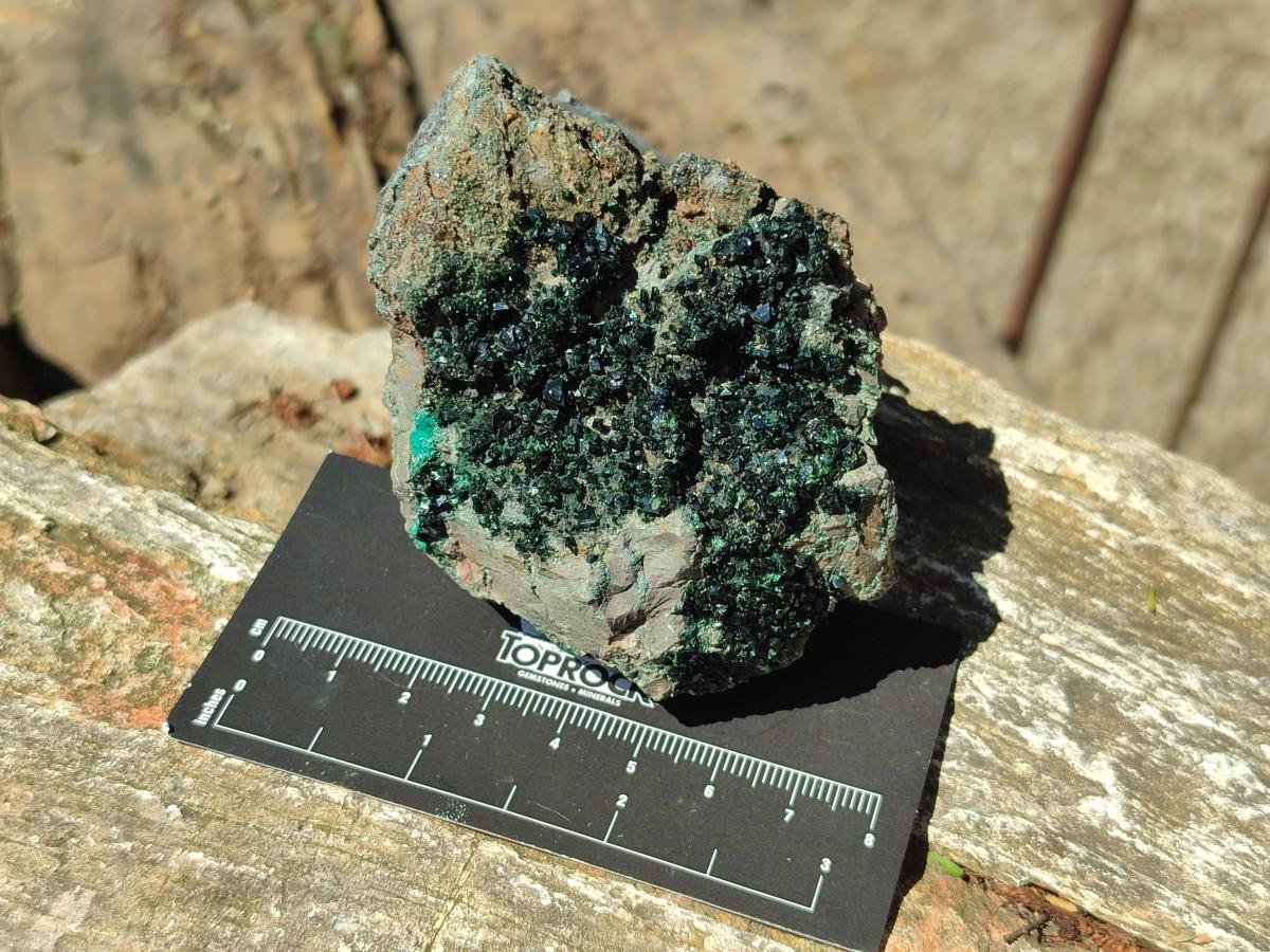 Natural Libethenite Crystals on Dolomite Matrix Specimens x 5 From Shituru, Congo