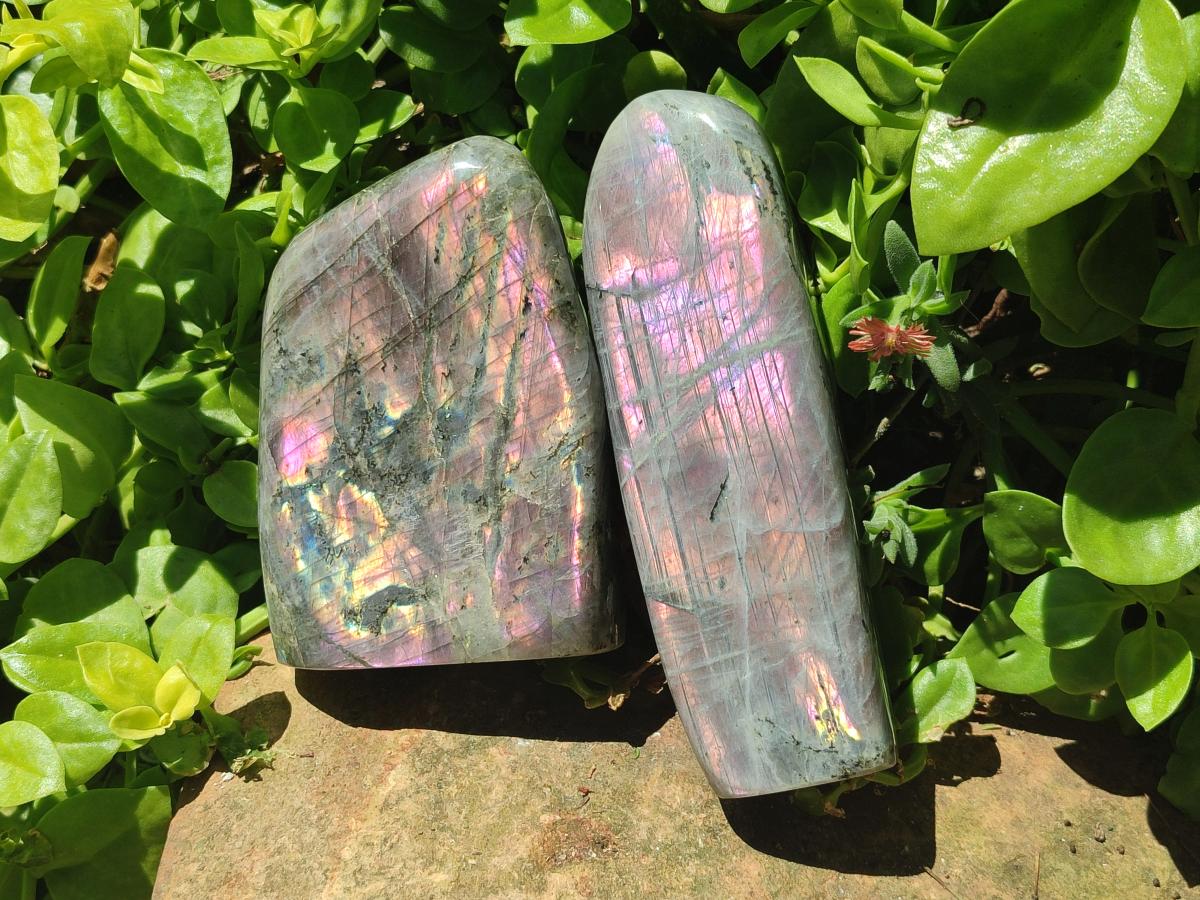 Polished Rare Purple Sunset Flash Labradorite Standing Free Forms x 2 From Madagascar