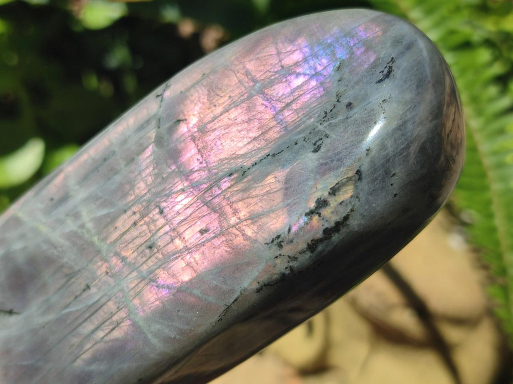 Polished Rare Purple Sunset Flash Labradorite Standing Free Forms x 2 From Madagascar