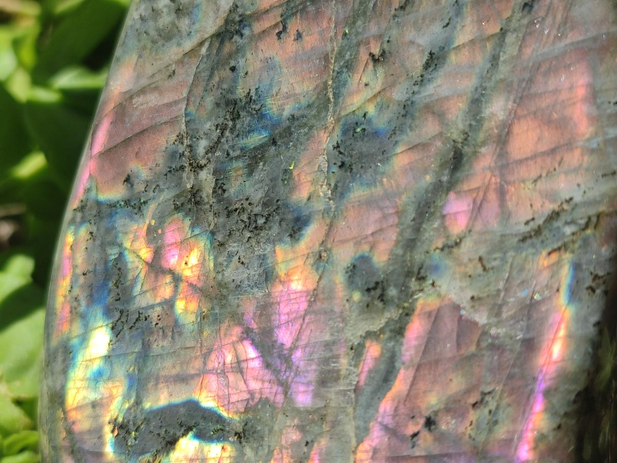 Polished Rare Purple Sunset Flash Labradorite Standing Free Forms x 2 From Madagascar
