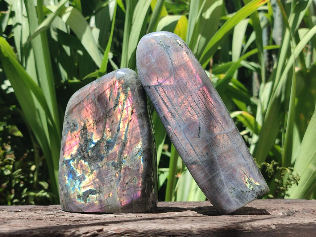 Polished Rare Purple Sunset Flash Labradorite Standing Free Forms x 2 From Madagascar
