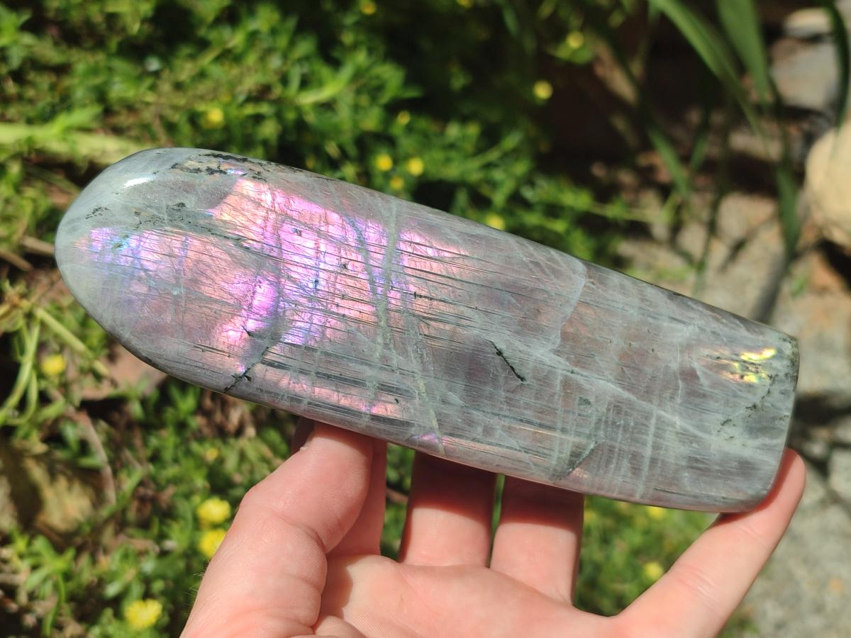 Polished Rare Purple Sunset Flash Labradorite Standing Free Forms x 2 From Madagascar