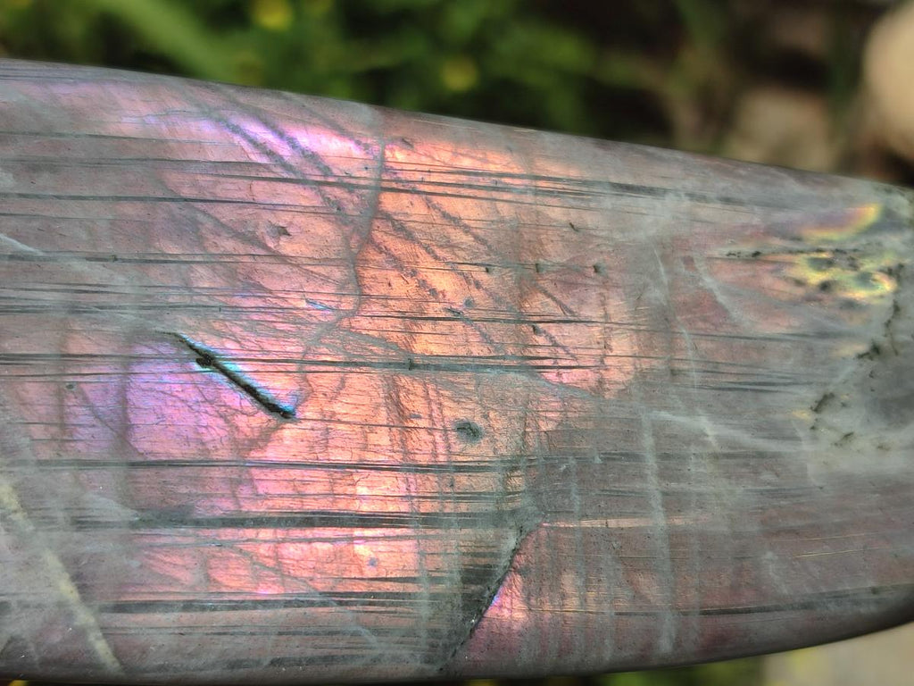 Polished Rare Purple Sunset Flash Labradorite Standing Free Forms x 2 From Madagascar