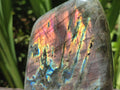 Polished Rare Purple Sunset Flash Labradorite Standing Free Forms x 2 From Madagascar
