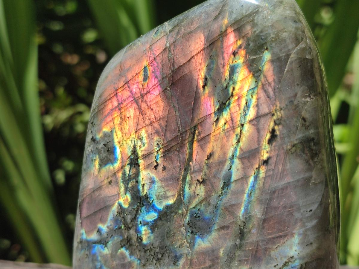 Polished Rare Purple Sunset Flash Labradorite Standing Free Forms x 2 From Madagascar