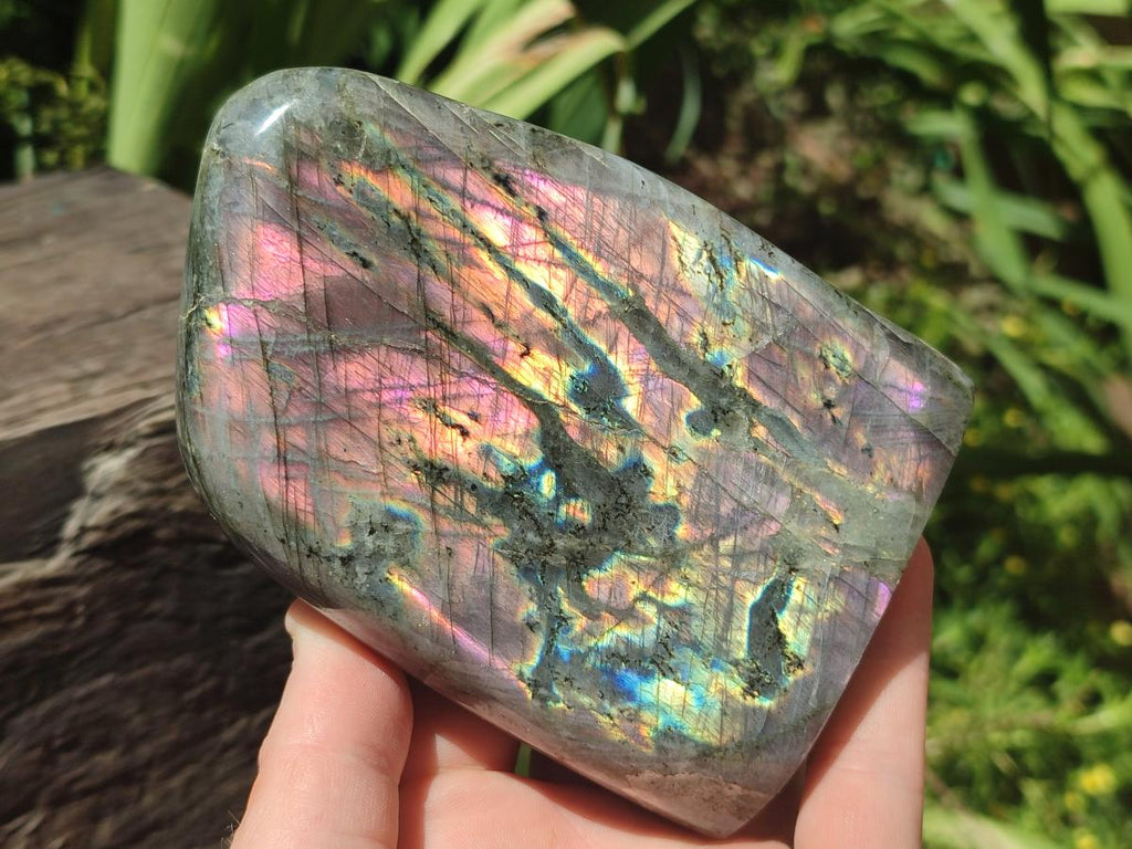 Polished Rare Purple Sunset Flash Labradorite Standing Free Forms x 2 From Madagascar