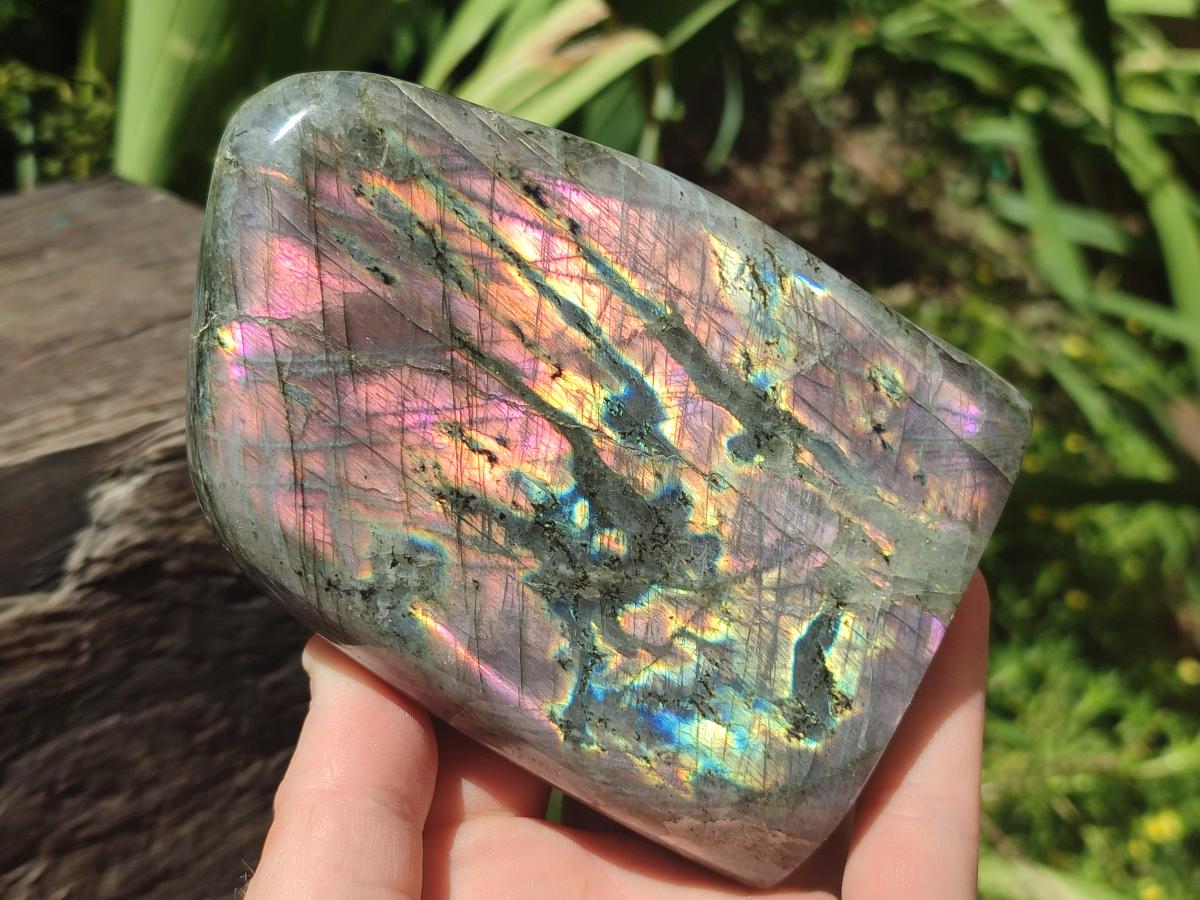 Polished Rare Purple Sunset Flash Labradorite Standing Free Forms x 2 From Madagascar
