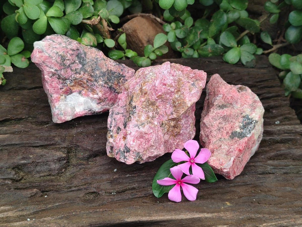 Natural Rhodonite Cobbed Specimens x 3 From Rhusinga, Zimbabwe