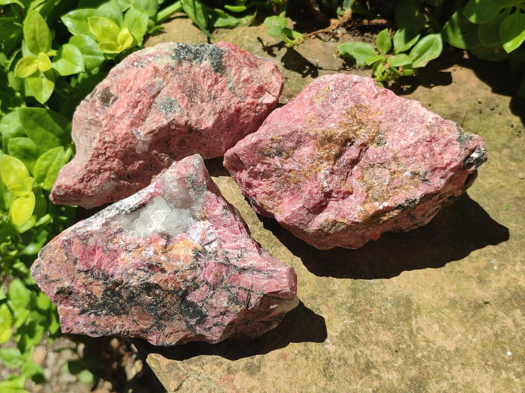 Natural Rhodonite Cobbed Specimens x 3 From Rhusinga, Zimbabwe