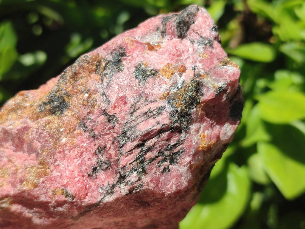 Natural Rhodonite Cobbed Specimens x 3 From Rhusinga, Zimbabwe