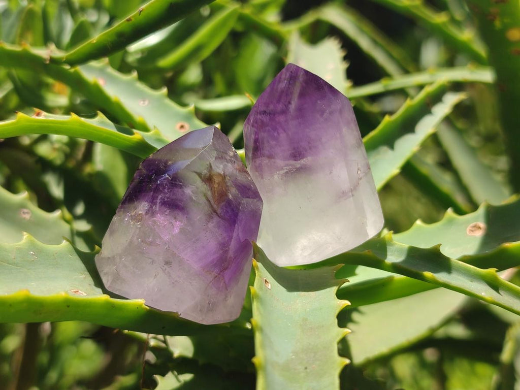 Polished Window Amethyst Crystals x 20 From Akansobe, Madagascar