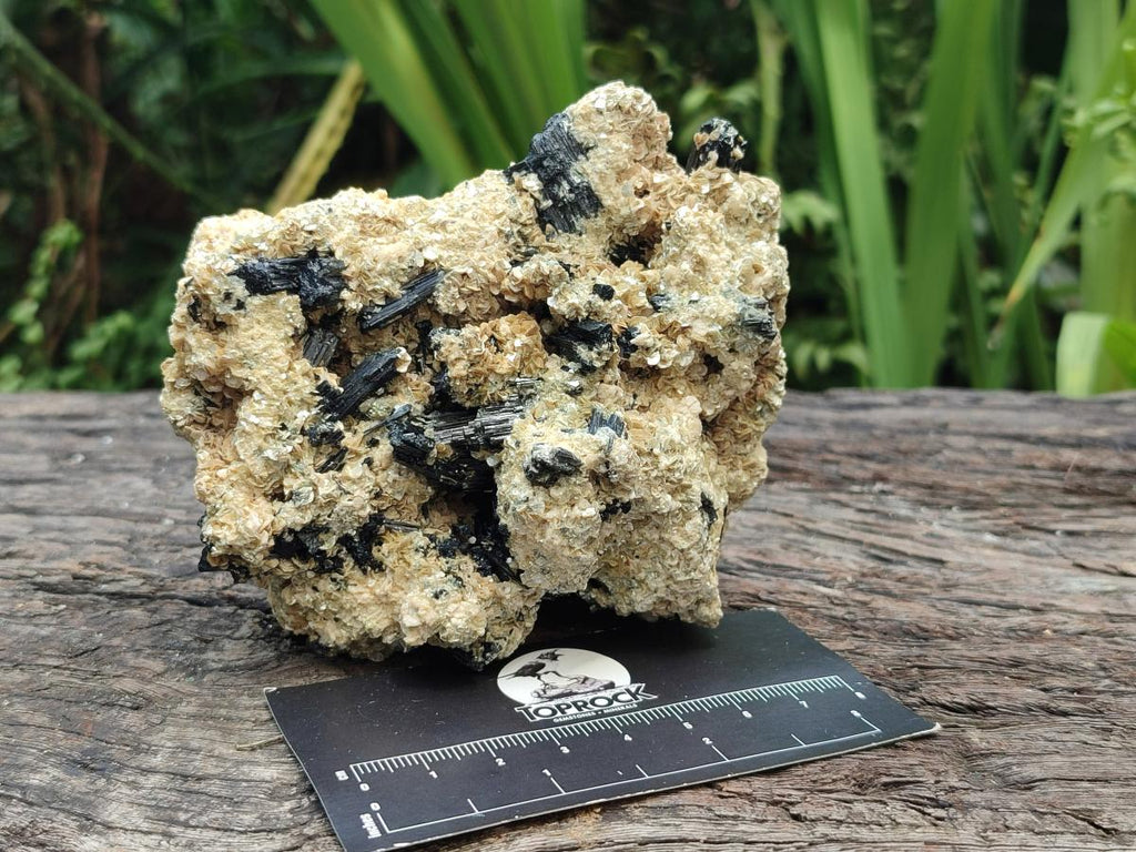 Natural Schorl Black Tourmaline with Vermiculite Mica x 4 From Erongo, Namibia