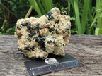 Natural Schorl Black Tourmaline with Vermiculite Mica x 4 From Erongo, Namibia