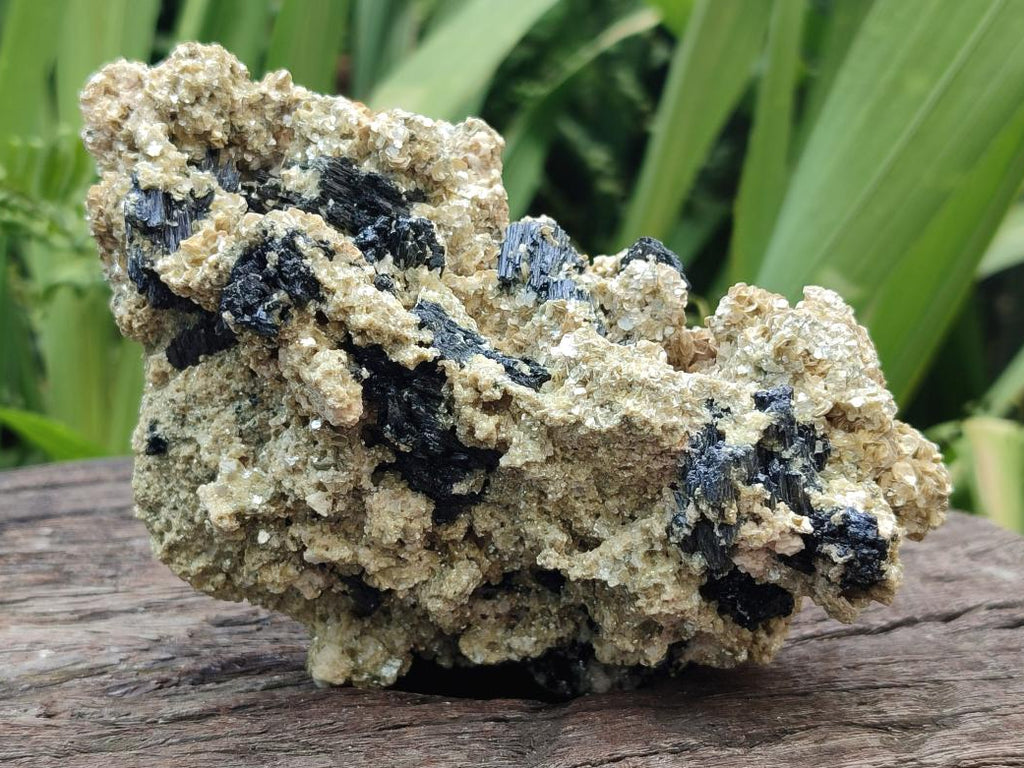 Natural Schorl Black Tourmaline with Vermiculite Mica x 4 From Erongo, Namibia