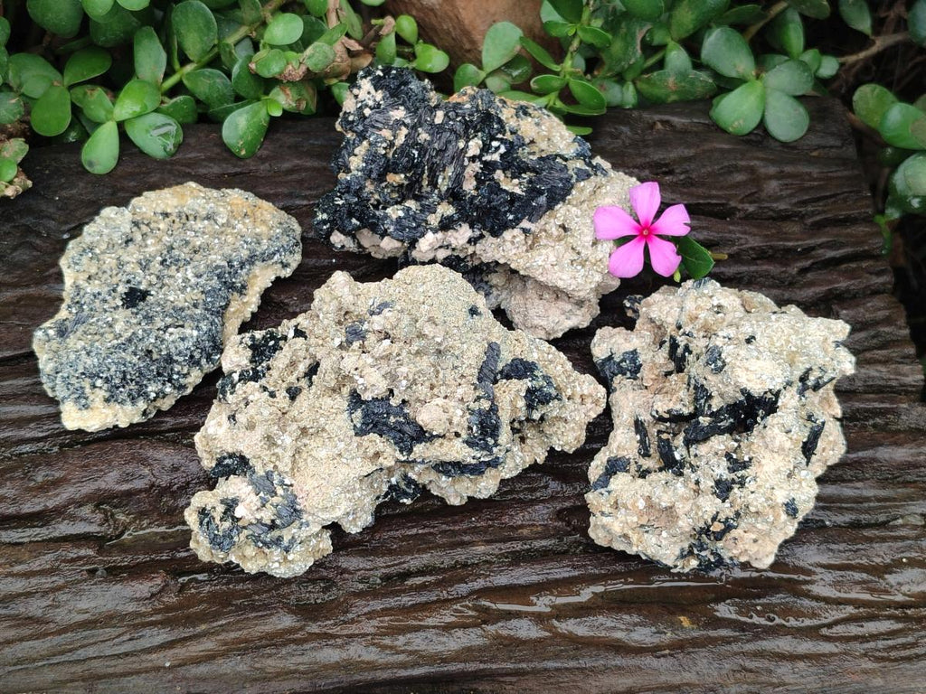 Natural Schorl Black Tourmaline with Vermiculite Mica x 4 From Erongo, Namibia
