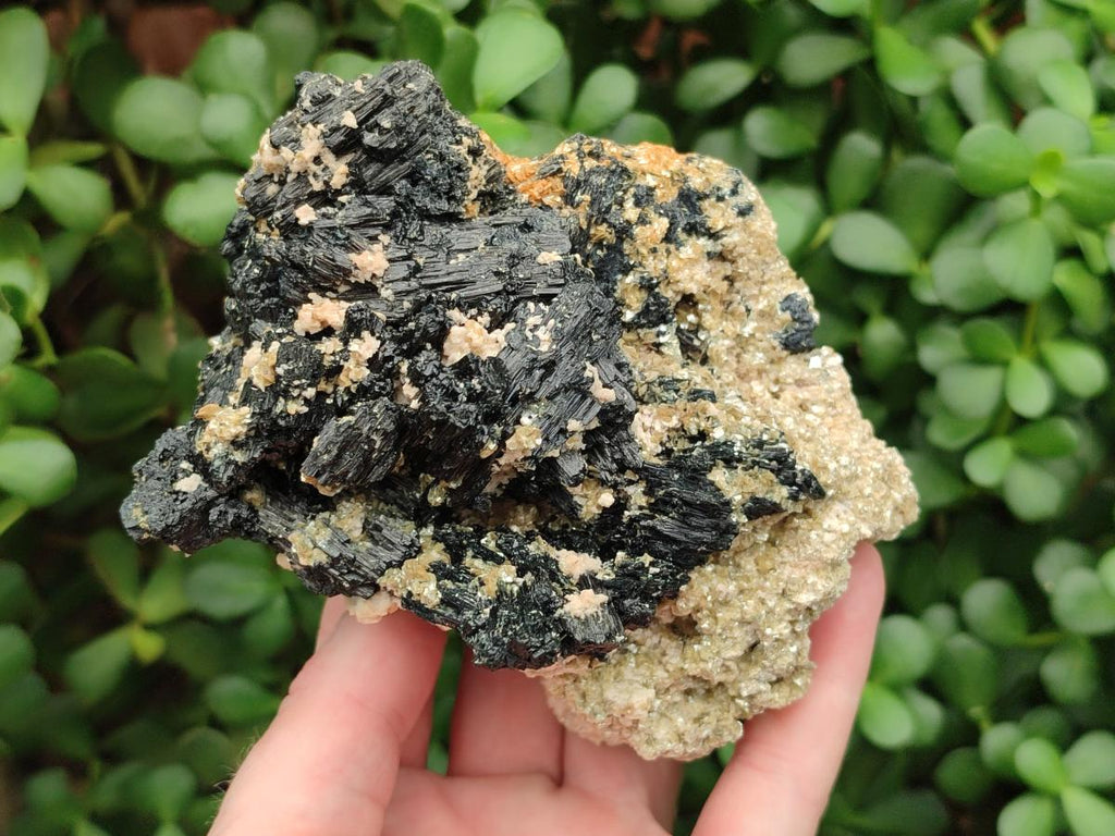 Natural Schorl Black Tourmaline with Vermiculite Mica x 4 From Erongo, Namibia