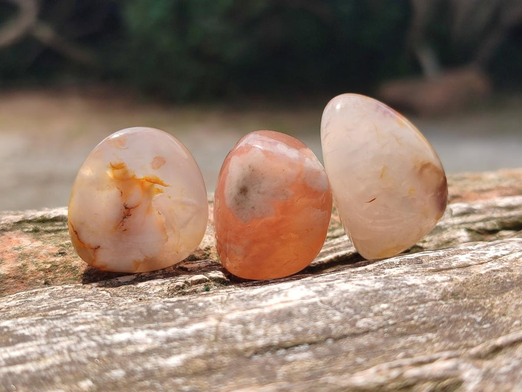 Polished Flower Agate Galets x 70 From Antsahalova, Madagascar