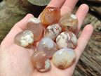 Polished Flower Agate Galets x 70 From Antsahalova, Madagascar