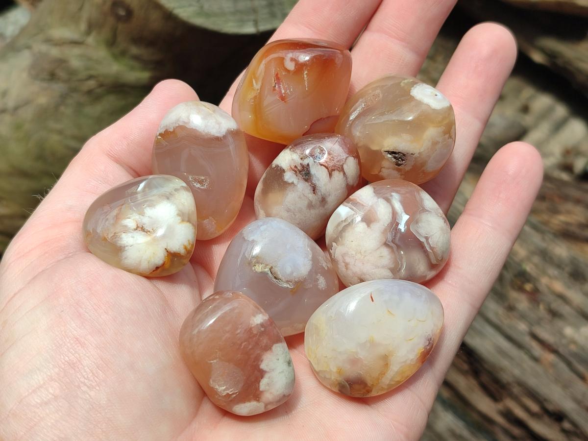 Polished Flower Agate Galets x 70 From Antsahalova, Madagascar