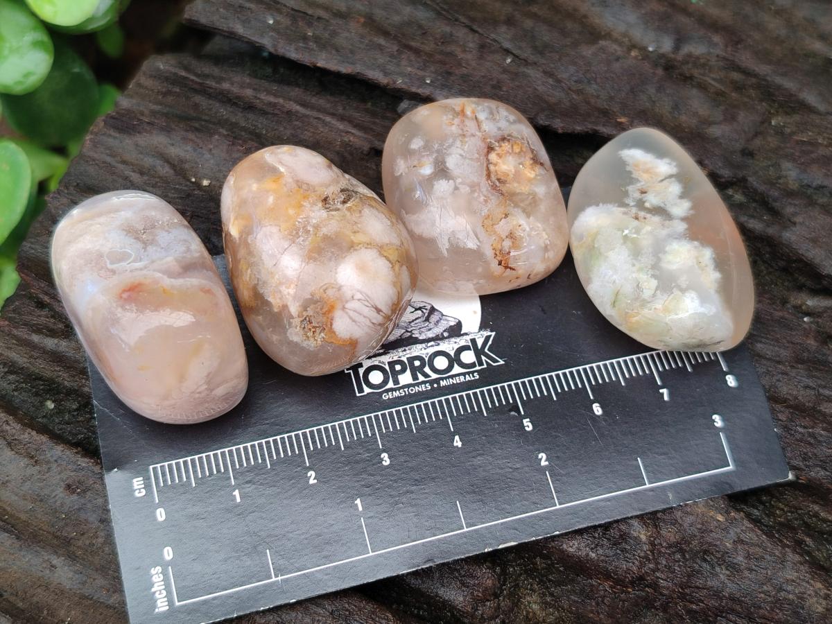 Polished Flower Agate Galets x 70 From Antsahalova, Madagascar